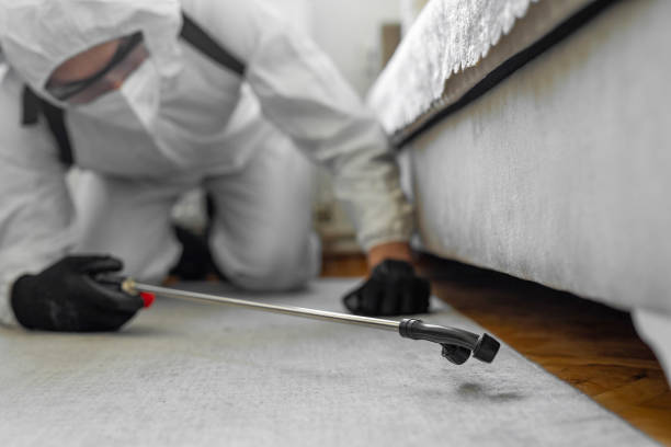 Professional Pest Control technician working in Greens Farms, CT