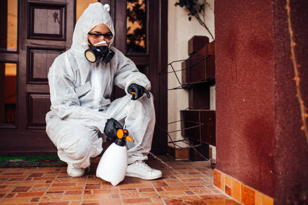Reliable Rodent Control contractor in Greens Farms, CT by Nex Pest Control