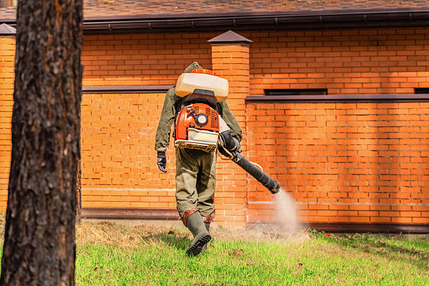 Trusted Termite Control service in Greens Farms, CT - Nex Pest Control